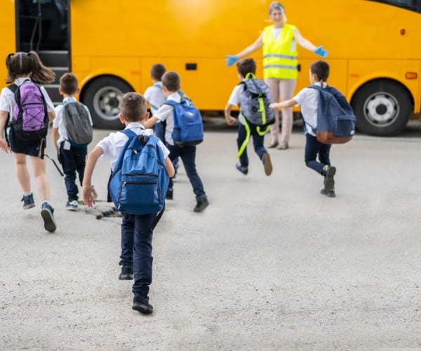 Alquiler de autobuses para transporte escolar